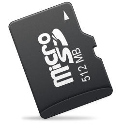 micro sd 256
